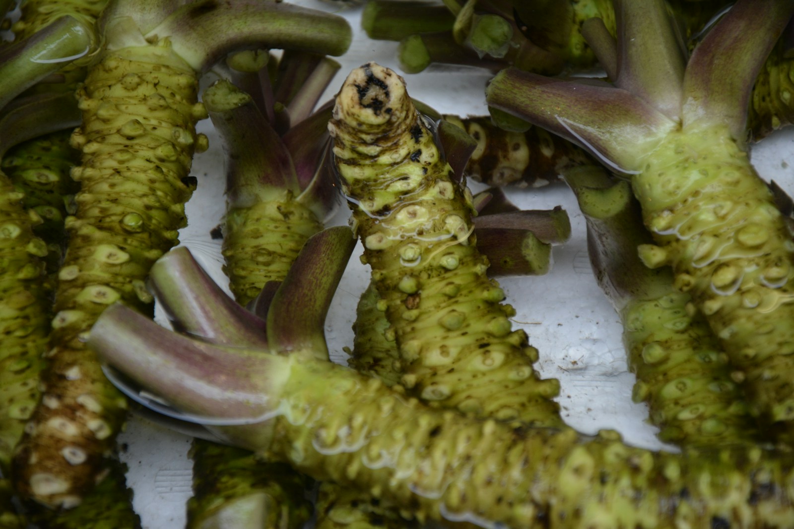 green wasabi on white table