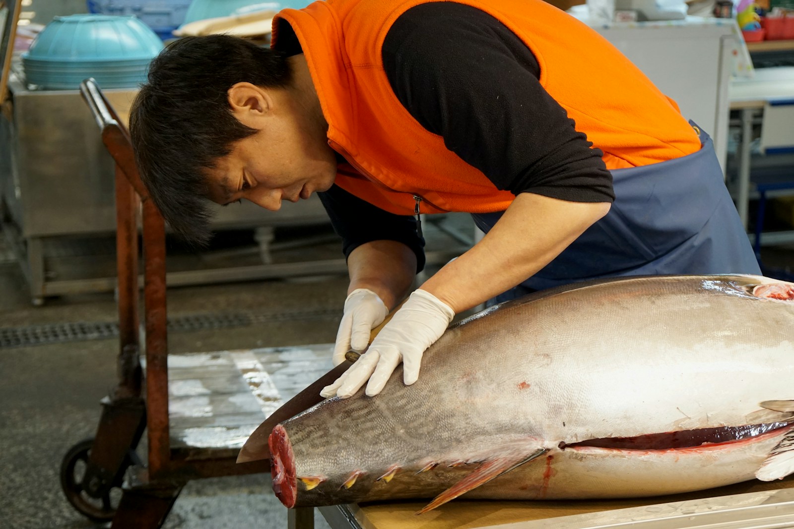 man in orange t-shirt preparing fish