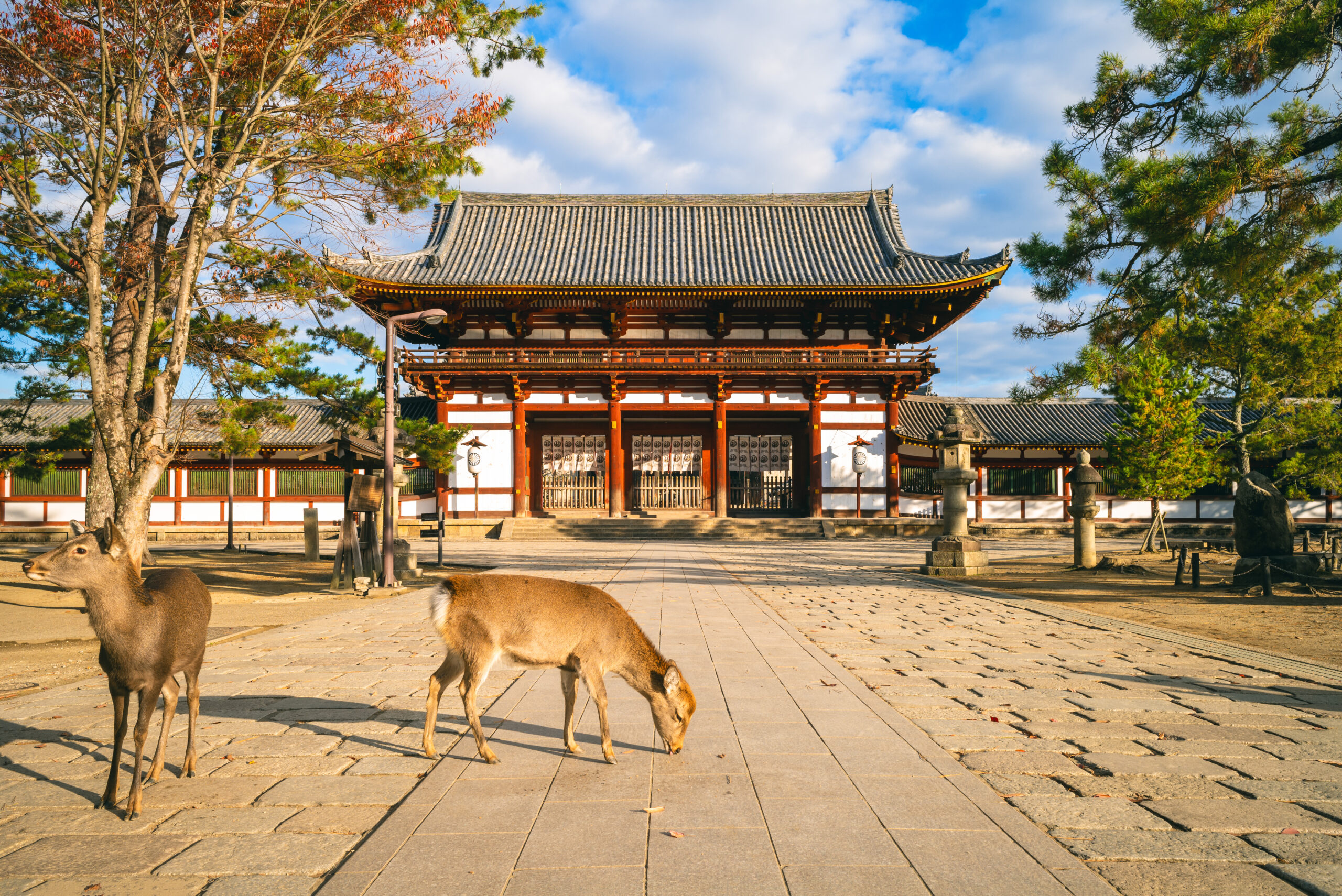 Nara Japan